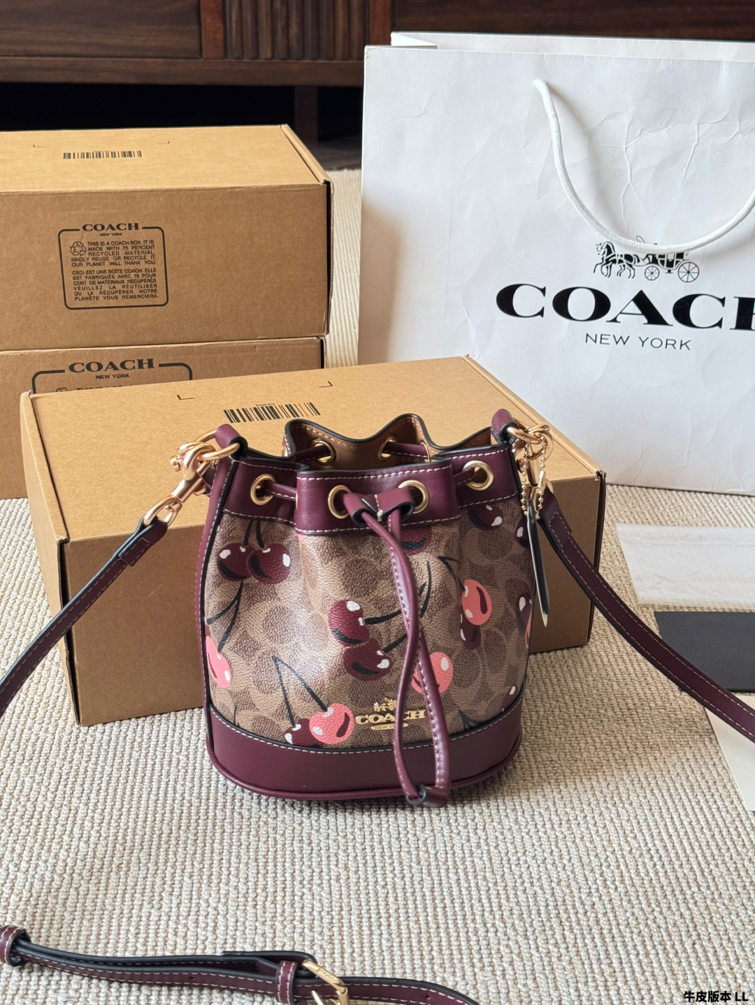 coach bag 300